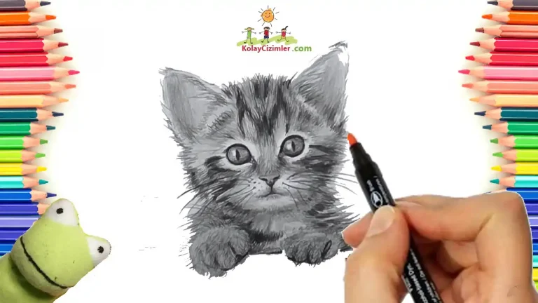 karakalem kedi çizimi