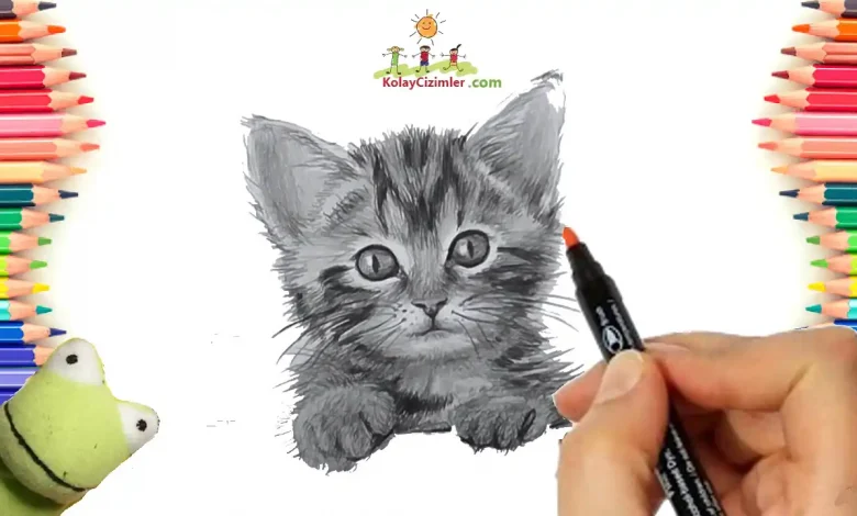 karakalem kedi çizimi