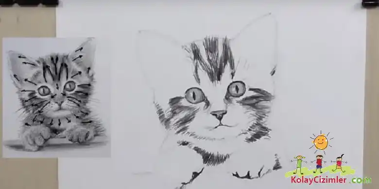 karakalem kedi çizimi