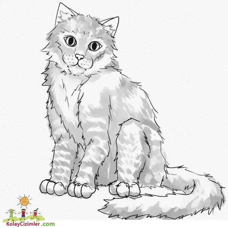 karakalem ile çizilmiş kedi resmi