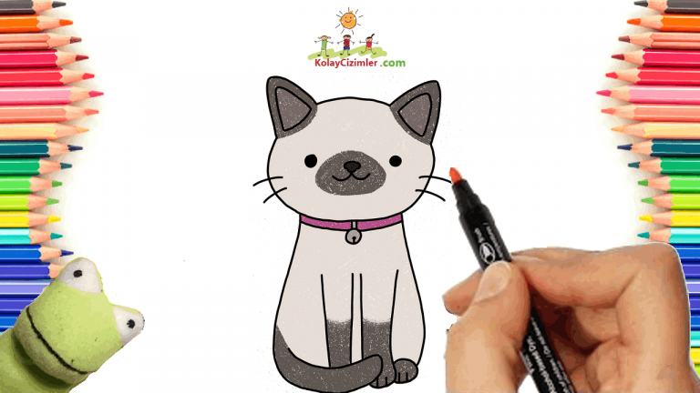 Kedi Resmi Nasıl Çizimi