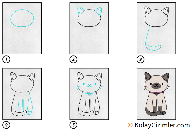 Adım adım kedi çizimi
