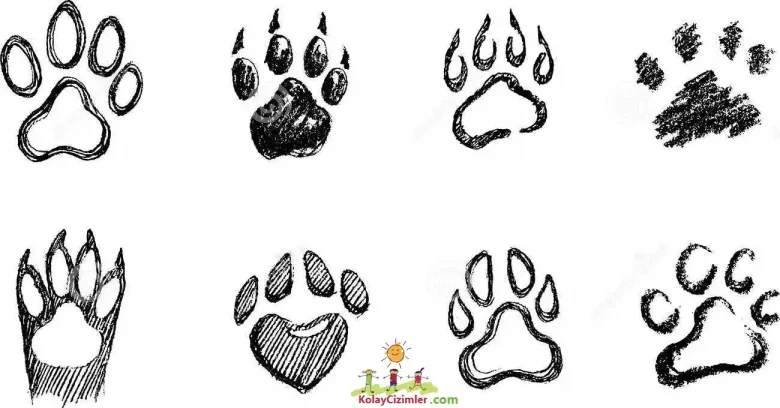 Gerçekçi Pati Çizimleri