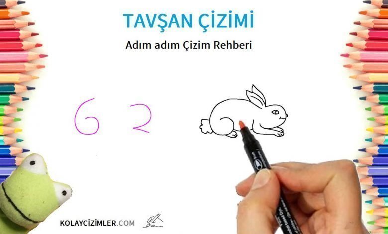 62 den tavsan cizimi