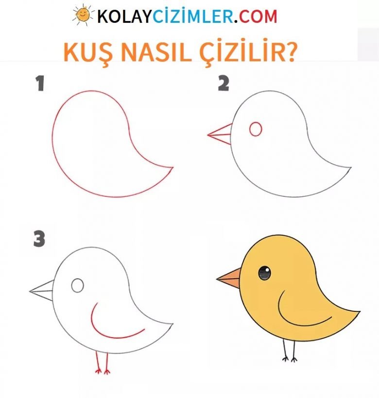 adım adım anaokulu kuş çizimi