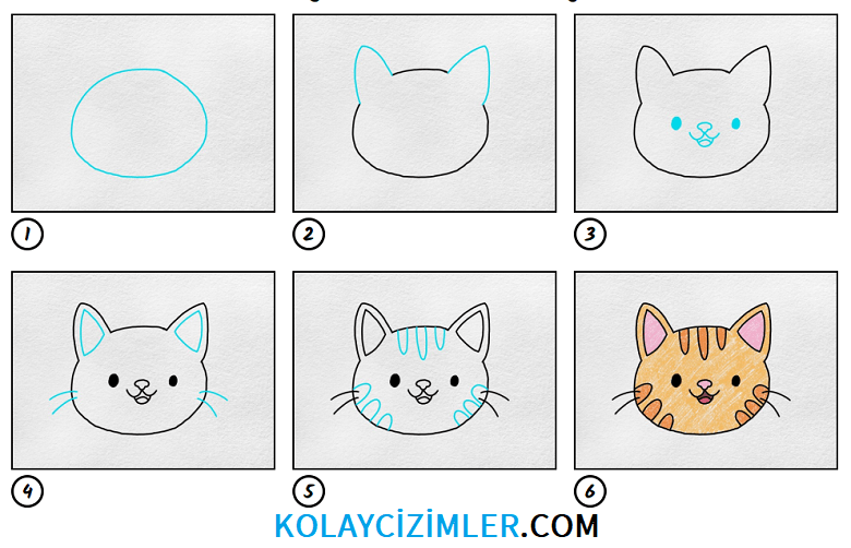 adım adım sevimli kedi yüzü resmi çizimi