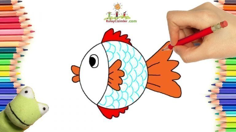 balık çizimi