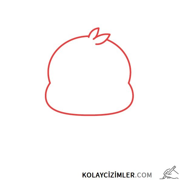 civciv baş çizimi