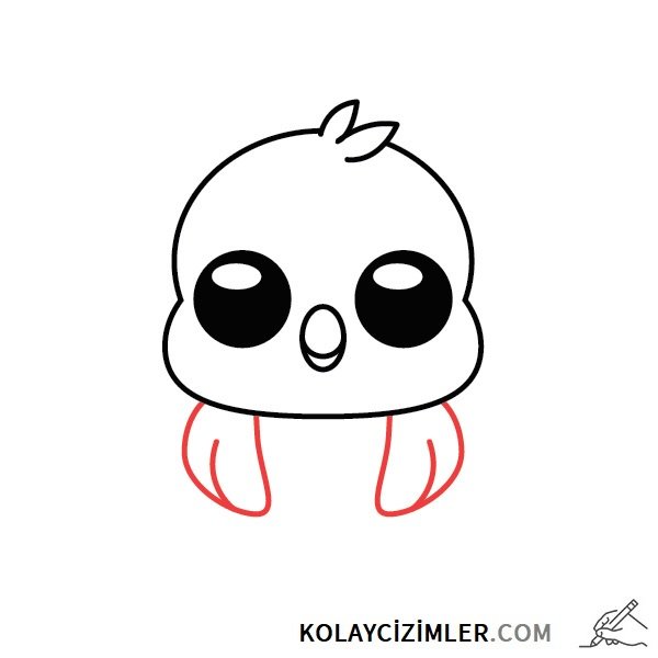 civciv kanat çizimi