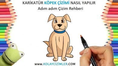 Karikatür Köpek Çizimi