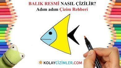 balık çizimi