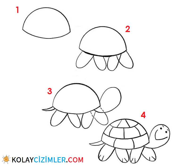 1 sınıf kaplumbaga çizimi