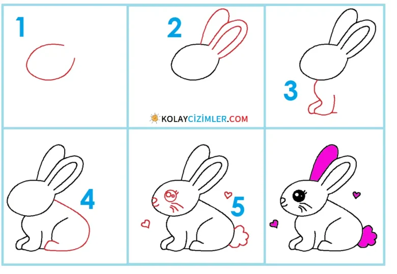 anaokulu tavşan çizimi