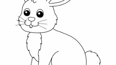 tavşan boyama sayfası
