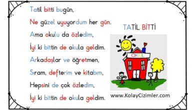 1. sınıf okuma metinleri