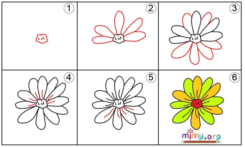 How to Draw a Daisy
