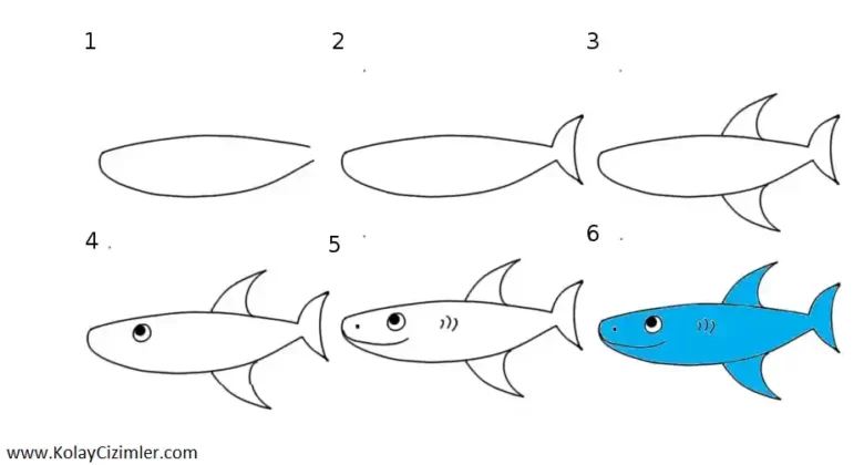 köpek balığı çizimi