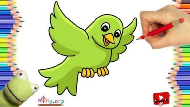 kuş çizimi, kolay çizimler