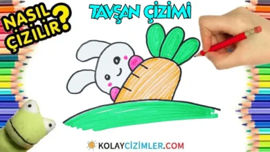 tavşan çizimi