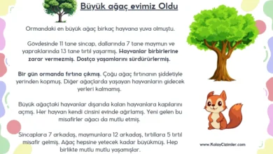Büyük ağaç evimiz oldu, Okuma metinleri