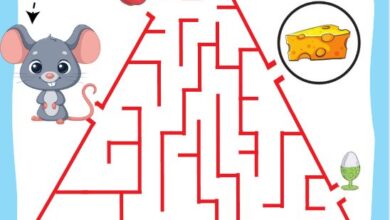 Fare Labirent Bulmaca