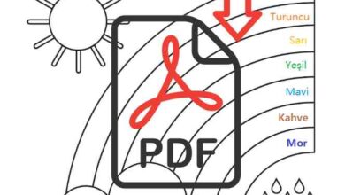 Gökkuşağı Renkleri Etkinliği, Okul Öncesi ve Anasınıfı Sayma Sayıları Etkinliği