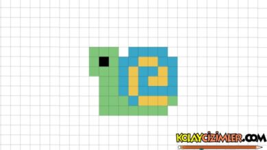 Kareli Deftere Salyangoz Çizimi, Kolay Çizimler