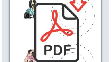 Okul Öncesi, Köpek Çizgi Çalışması Sayfası