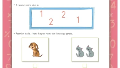 Renkli 1 Rakam Çalışması