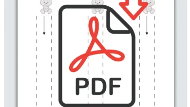 Tavşan Çizgi Çalışması, Okul Öncesi