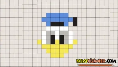 kareli deftere daffy duck çizimi