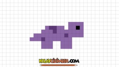 kareli deftere kaplumbağa çizimi