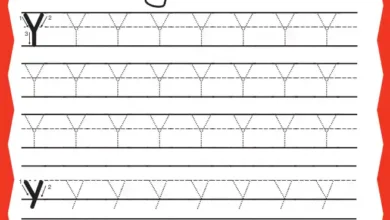 y harfi çizgi çalışması