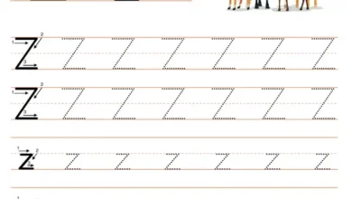 z harfiz çizgi çalışması, okul öncesi etkinlik