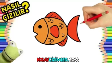 Japon Balığı Çizimi, Kolay Çizimler