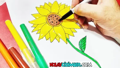 kolay ay çiçeği çizimi