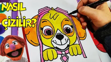 Skye, Paw Patrol nasıl çizilir, kolay çizimler, köpek çizimi
