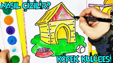 köpek kulübesi çizimi