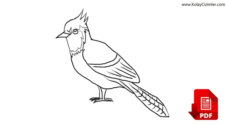 mavi alakarga kus boyama sayfasi