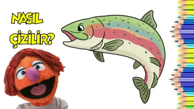 kolay balık çizimi, kolay çizimler
