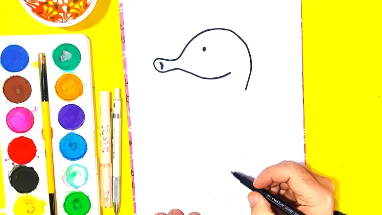 denizatı çizimi - yüz çizimi