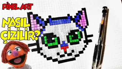 kedi yuzu cizimi